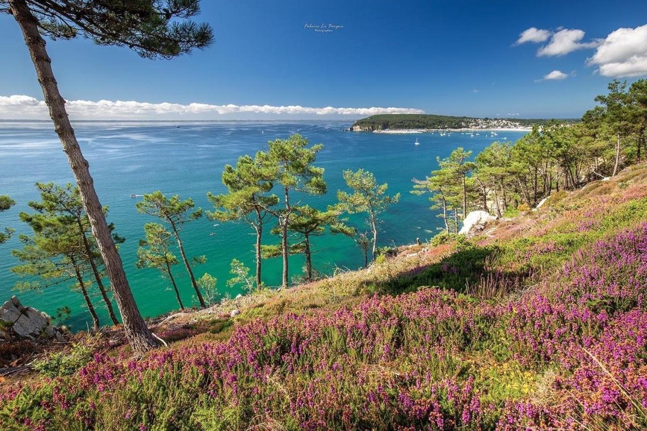Appartement Cosy Les Pieds Dans L'Eau, Vue Mer Exceptionnelle Crozon Exterior foto
